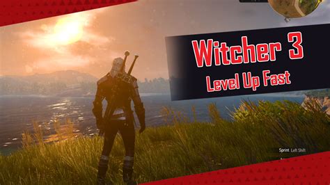 level up fast in witcher 3